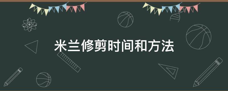 米兰修剪时间和方法 米兰花修剪时间和方法