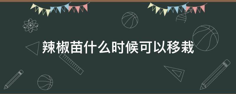 辣椒苗什么时候可以移栽（辣椒苗啥时候移栽）