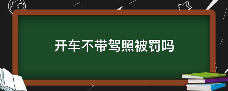 开车不带驾照被罚吗 开车不带驾照处罚