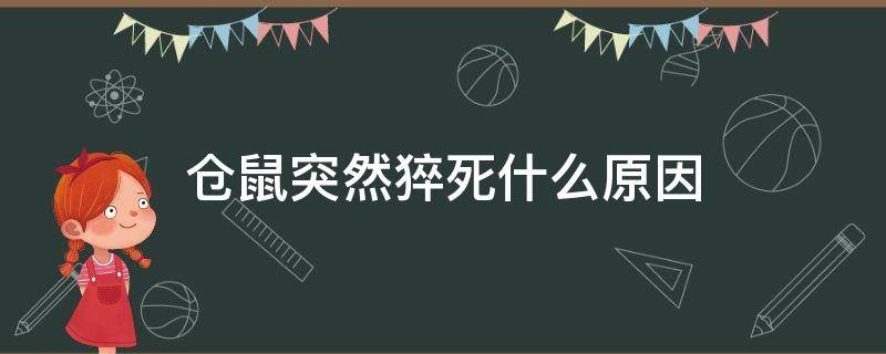 仓鼠突然猝死什么原因 仓鼠突然死亡是什么原因