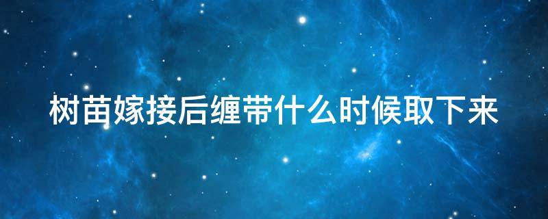 树苗嫁接后缠带什么时候取下来 树苗嫁接后缠带什么时候取下来好