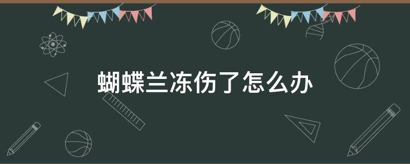 蝴蝶兰冻伤了怎么办 蝴蝶兰冻伤了怎样补救呢