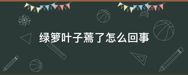 绿箩叶子蔫了怎么回事 绿萝叶子发蔫