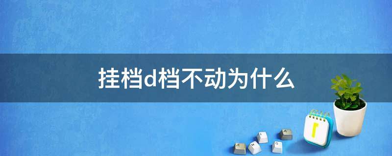 挂档d档不动为什么 挂d档车子不动