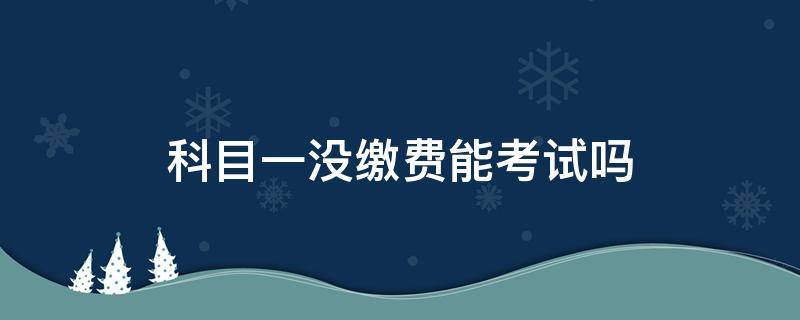 科目一没缴费能考试吗 考驾照科目一考没缴费但能考