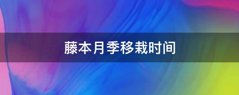 藤本月季移栽时间（藤本月季什么季节移栽）