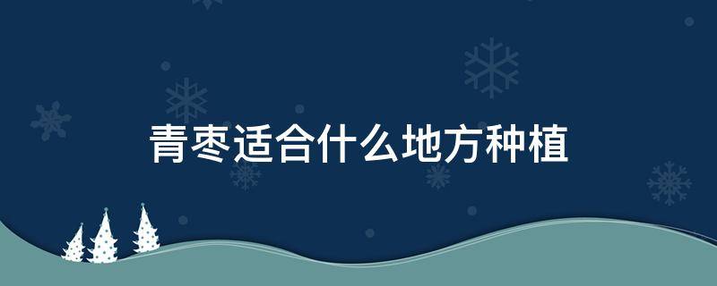 青枣适合什么地方种植（青枣种植条件）