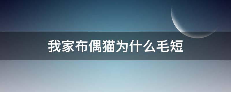 我家布偶猫为什么毛短 我家布偶猫为什么毛发很短