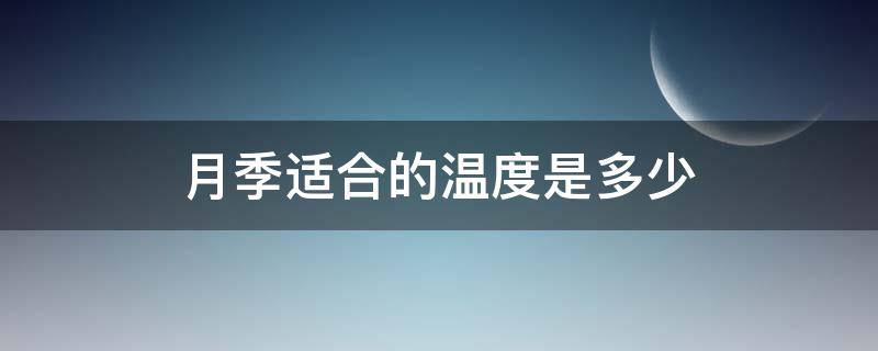 月季适合的温度是多少 月季的适宜温度是多少