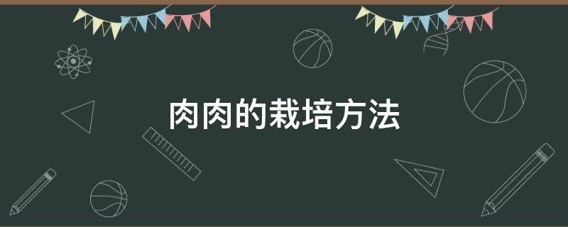 肉肉的栽培方法 肉肉的栽培技术