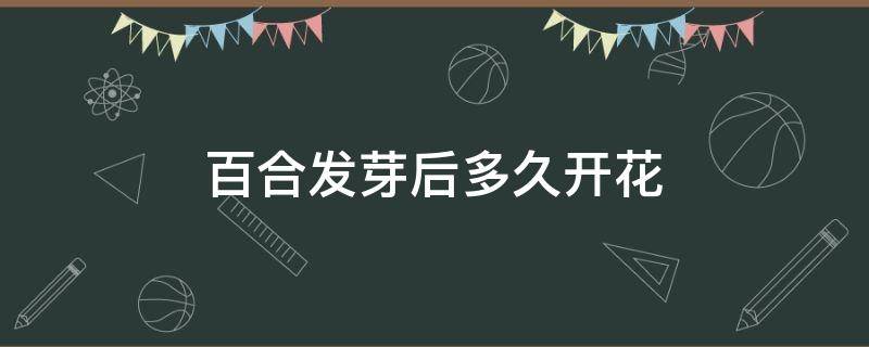 百合发芽后多久开花（盆栽百合花开完之后多久能再发芽）