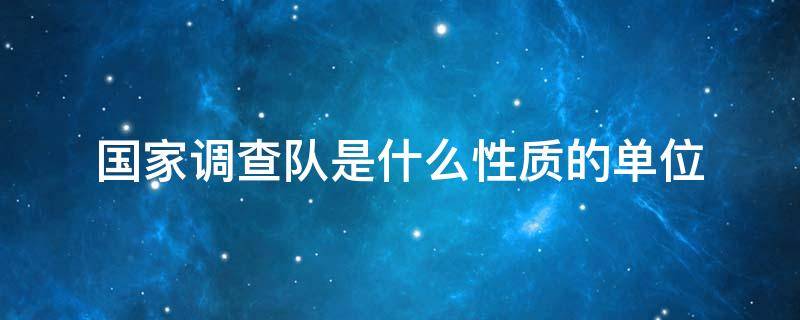 国家调查队是什么性质的单位（国家统计局调查队是什么性质的单位）