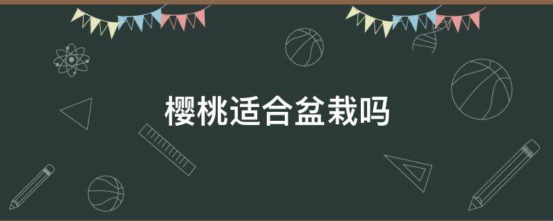 樱桃适合盆栽吗 樱桃可盆栽吗