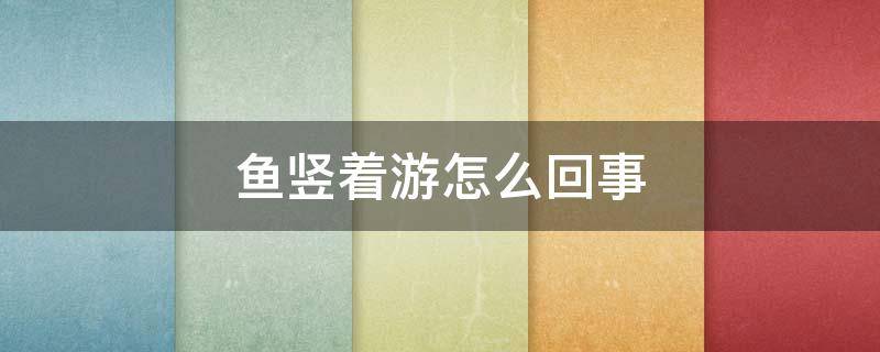 鱼竖着游怎么回事 热带鱼竖着游怎么回事