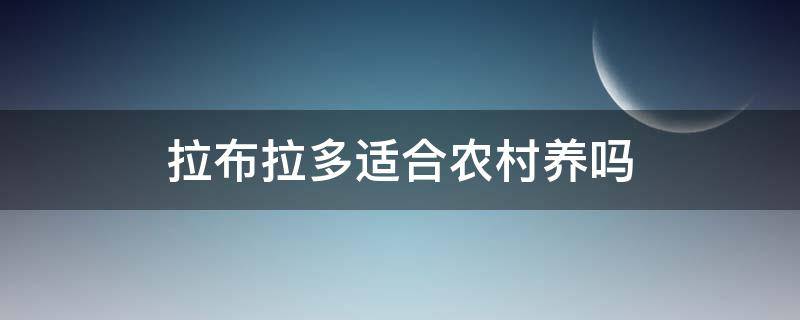 拉布拉多适合农村养吗（拉布拉多农村好养吗）