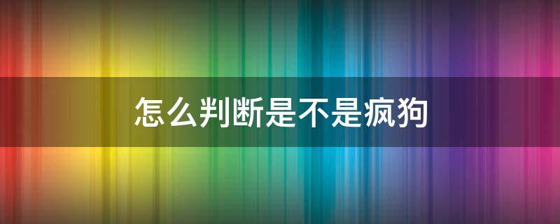 怎么判断是不是疯狗（怎么判断狗有没有疯）