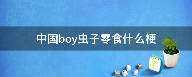 中国boy虫子零食什么梗 中国boy虫子零食哪一期