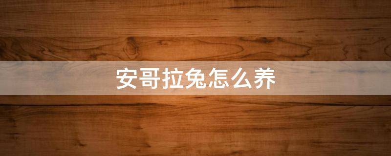安哥拉兔怎么养（安哥拉兔怎么养?）