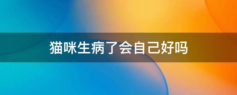 猫咪生病了会自己好吗（小猫生病了会自己好起来吗）