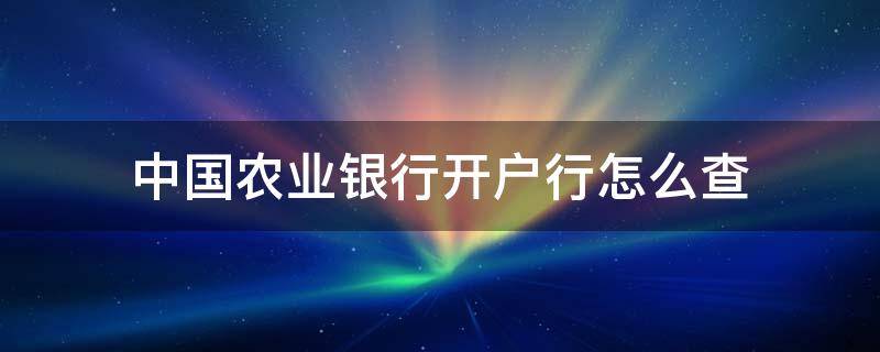 中国农业银行开户行怎么查（中国农业银行开户行怎么查询电话）