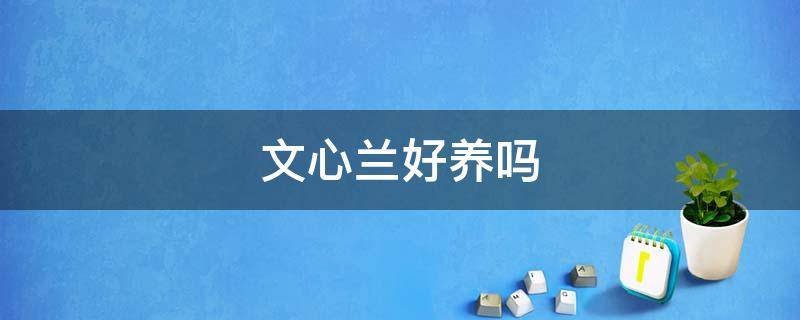 文心兰好养吗 文心兰好养吗?