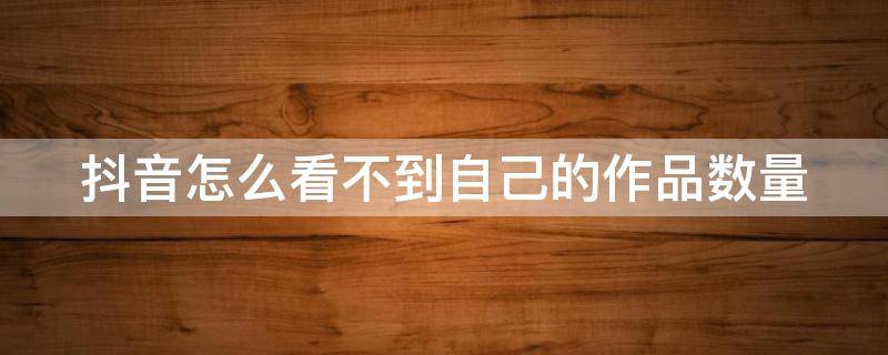 抖音怎么看不到自己的作品数量 抖音里面怎么看不到自己的作品数量