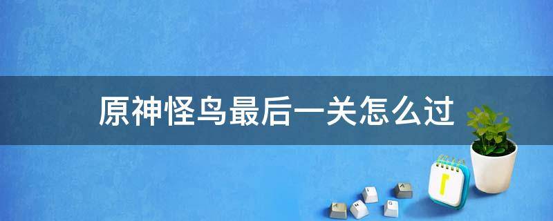 原神怪鸟最后一关怎么过 原神怪鸟最后一关过不去