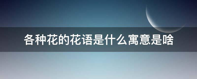 各种花的花语是什么寓意是啥 各种花的寓意及各种花的花语是什么?