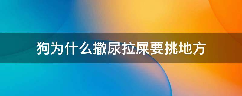 狗为什么撒尿拉屎要挑地方（狗拉屎知道去厕所尿乱撒）