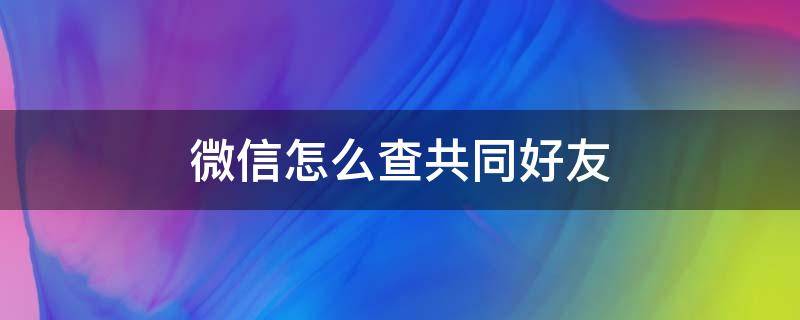 微信怎么查共同好友（微信怎么查共同好友人数）