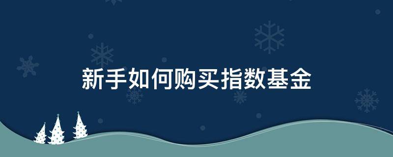 新手如何购买指数基金（新手如何购买指数基金c类）