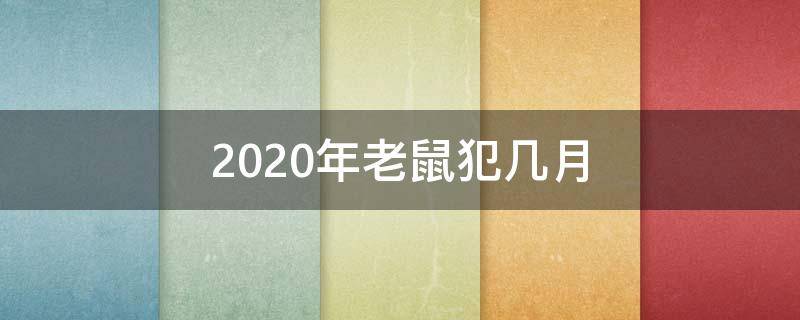 2020年老鼠犯几月 2020年是老鼠年?