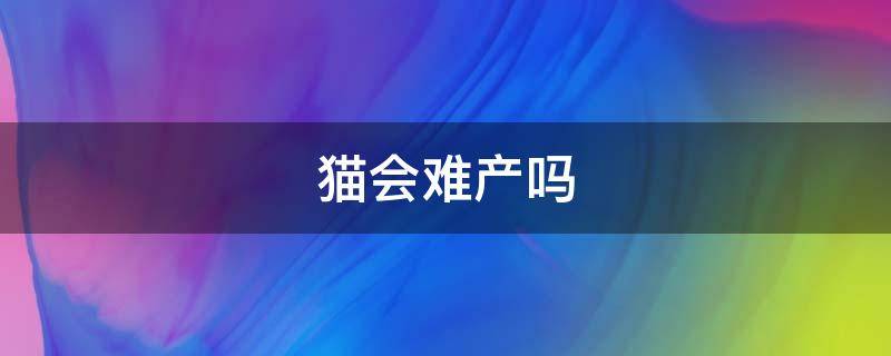猫会难产吗（猫会难产吗?）