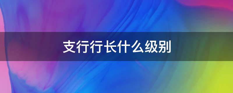 支行行长什么级别 二级支行行长什么级别