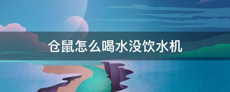 仓鼠怎么喝水没饮水机（仓鼠喝不到饮水机里面的水怎么办）