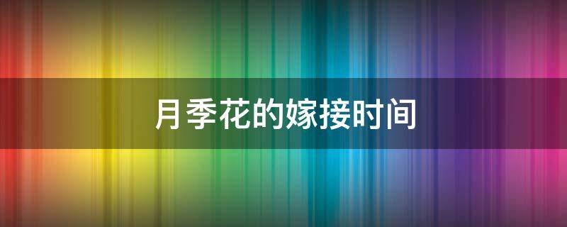 月季花的嫁接时间（月季花的嫁接时间和方法）