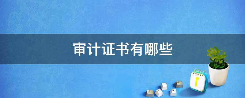 审计证书有哪些（审计考证都有什么证书）