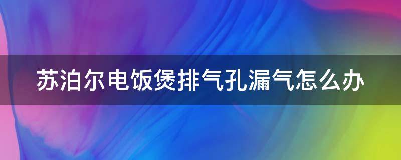 苏泊尔电饭煲排气孔漏气怎么办（苏泊尔电饭煲排气孔漏气怎么办啊）