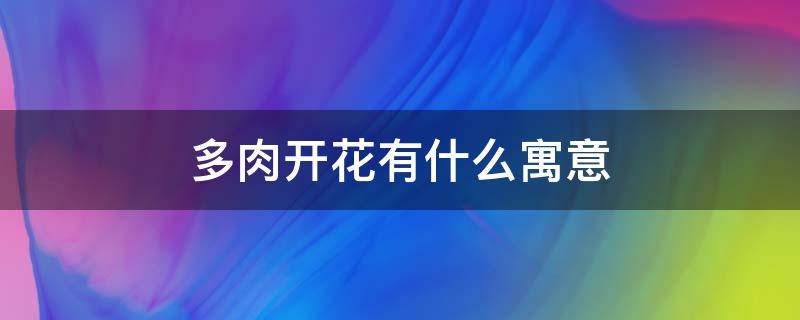 多肉开花有什么寓意 多肉开花象征着什么