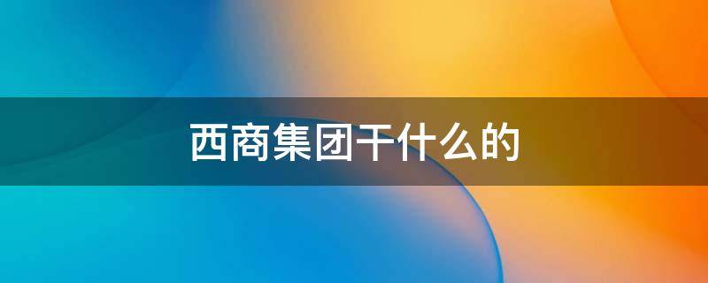 西商集团干什么的（西商董事长）