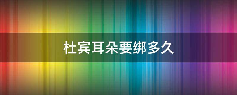 杜宾耳朵要绑多久（杜宾修耳后多久绑）