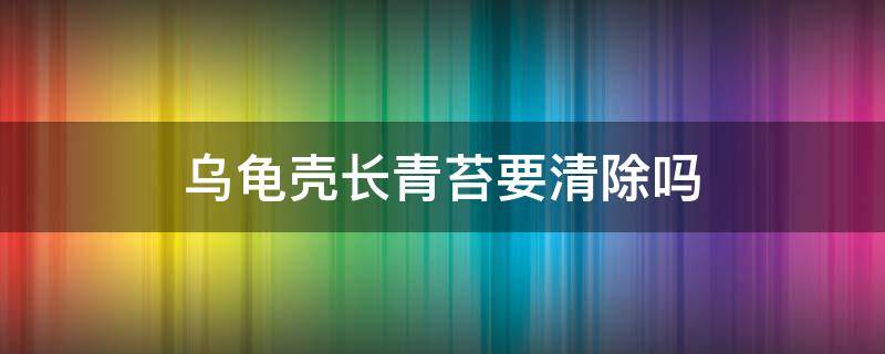 乌龟壳长青苔要清除吗（宠物龟龟壳有青苔需不需要清理干净）
