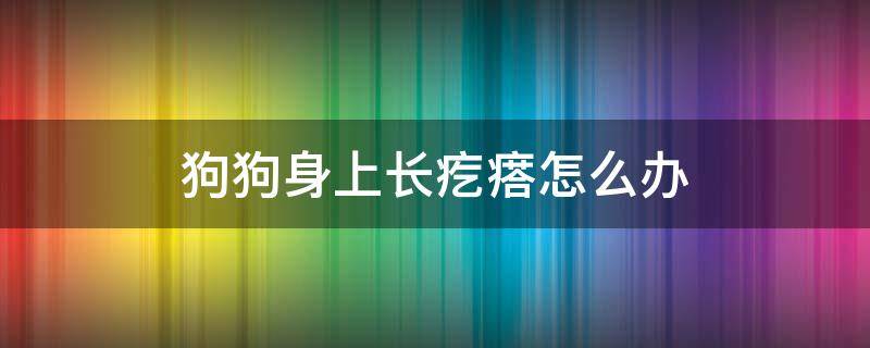 狗狗身上长疙瘩怎么办 狗狗身上长了疙瘩怎么办