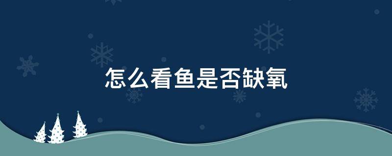 怎么看鱼是否缺氧 如何观察鱼是否缺氧
