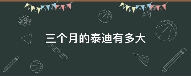 三个月的泰迪有多大（三个月的泰迪有多大图片）