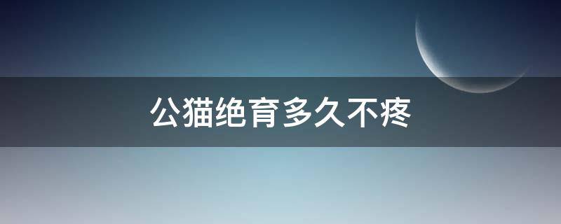 公猫绝育多久不疼 公猫绝育完多久不疼