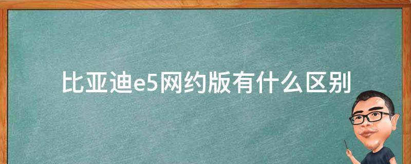 比亚迪e5网约版有什么区别 比亚迪e5网约版与普通版区别
