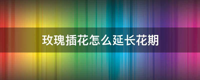 玫瑰插花怎么延长花期 怎样插玫瑰花花期长