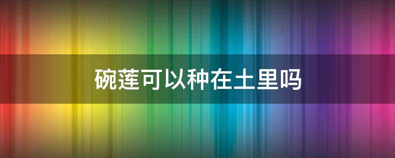 碗莲可以种在土里吗（碗莲可以种在土里吗?）