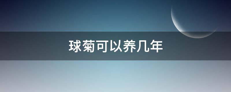 球菊可以养几年 球菊好养活吗